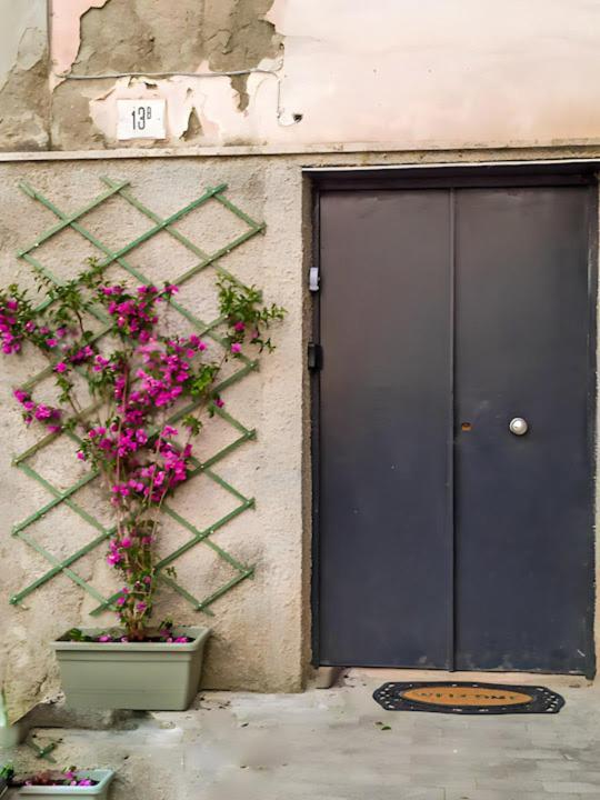 Tra Il Bosco E L'orto * Naples